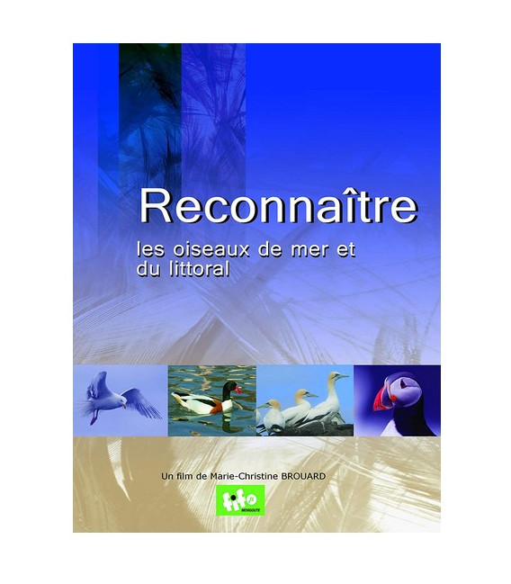 Reconnaître les oiseaux de mer et du littoral