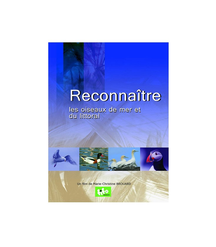 Reconnaître les oiseaux de mer et du littoral