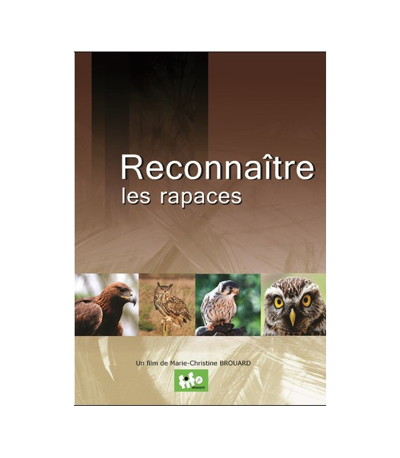 Reconnaître les rapaces