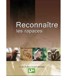 Reconnaître les rapaces