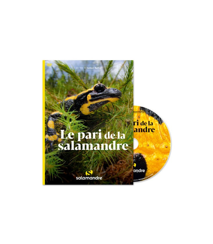 Le pari de la salamandre