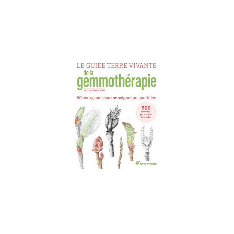 Guy Gilbert, Tome 2 Des loups à Faucon