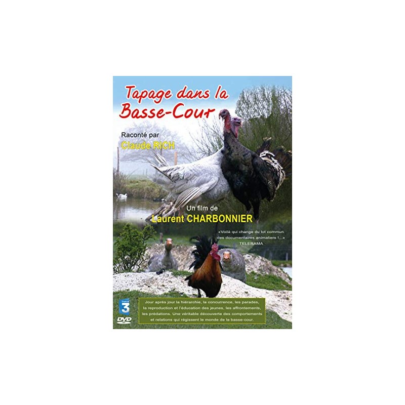 TITRE FICHE VIERGE CRÉATION DVD (occasion)(neuf)
