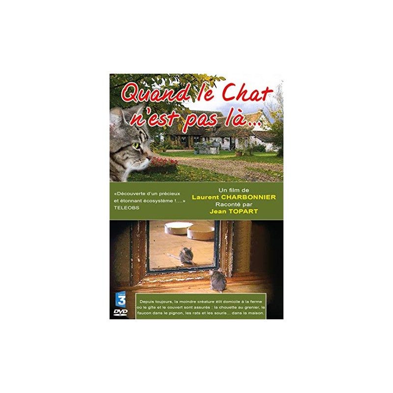 TITRE FICHE VIERGE CRÉATION DVD (occasion)(neuf)