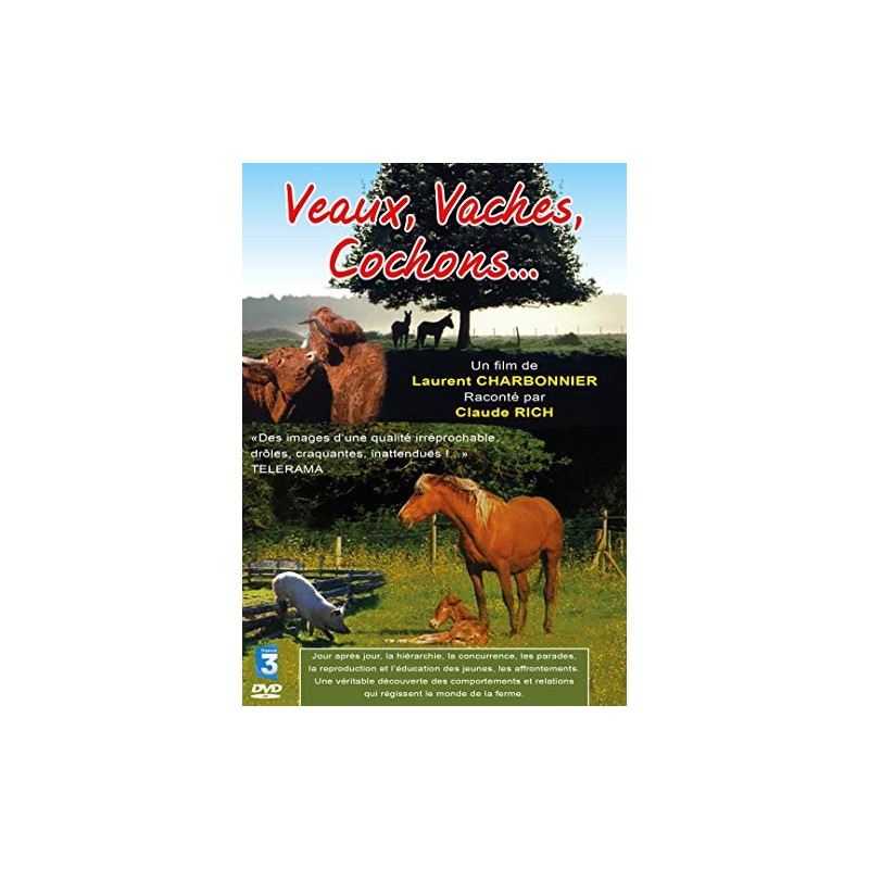 TITRE FICHE VIERGE CRÉATION DVD (occasion)(neuf)