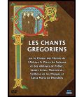 TITRE FICHE VIERGE CRÉATION DVD (occasion)(neuf)