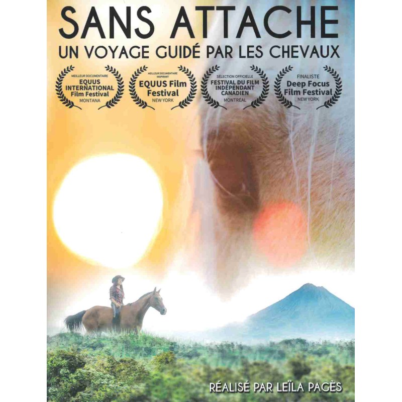 TITRE FICHE VIERGE CRÉATION DVD (occasion)(neuf)