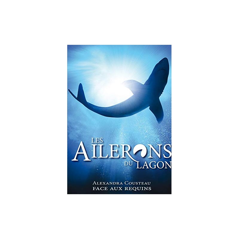 Fiche vierge (DVD Occasion)