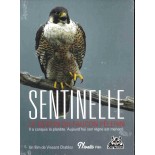 Fiche vierge (DVD Occasion)