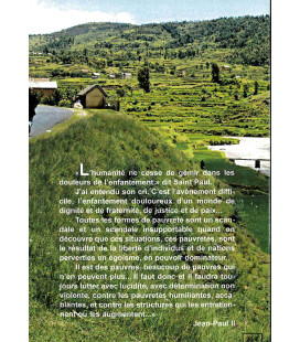 TITRE FICHE VIERGE CRÉATION LIVRE (Occasion)