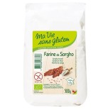 Farine de maïs bio & sans gluten