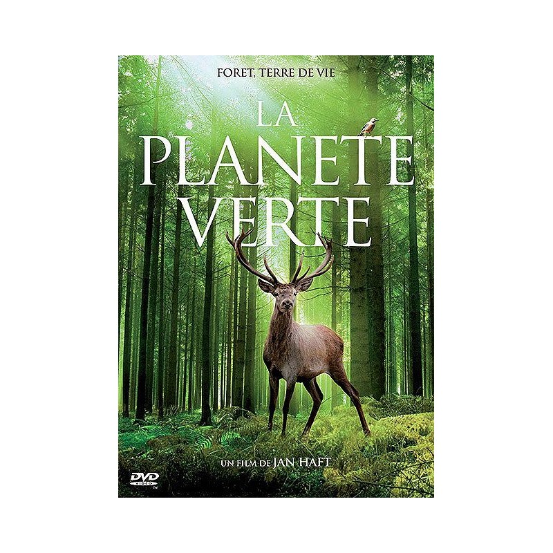 TITRE FICHE VIERGE CRÉATION DVD (occasion)(neuf)