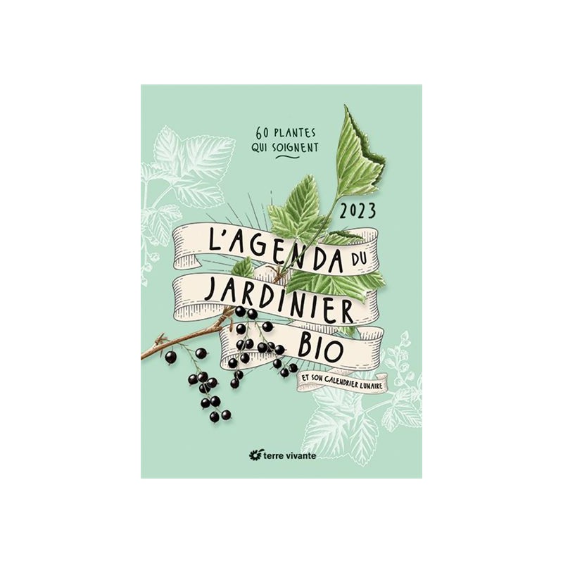 Prendre soin de sa maison (même en plein KO)