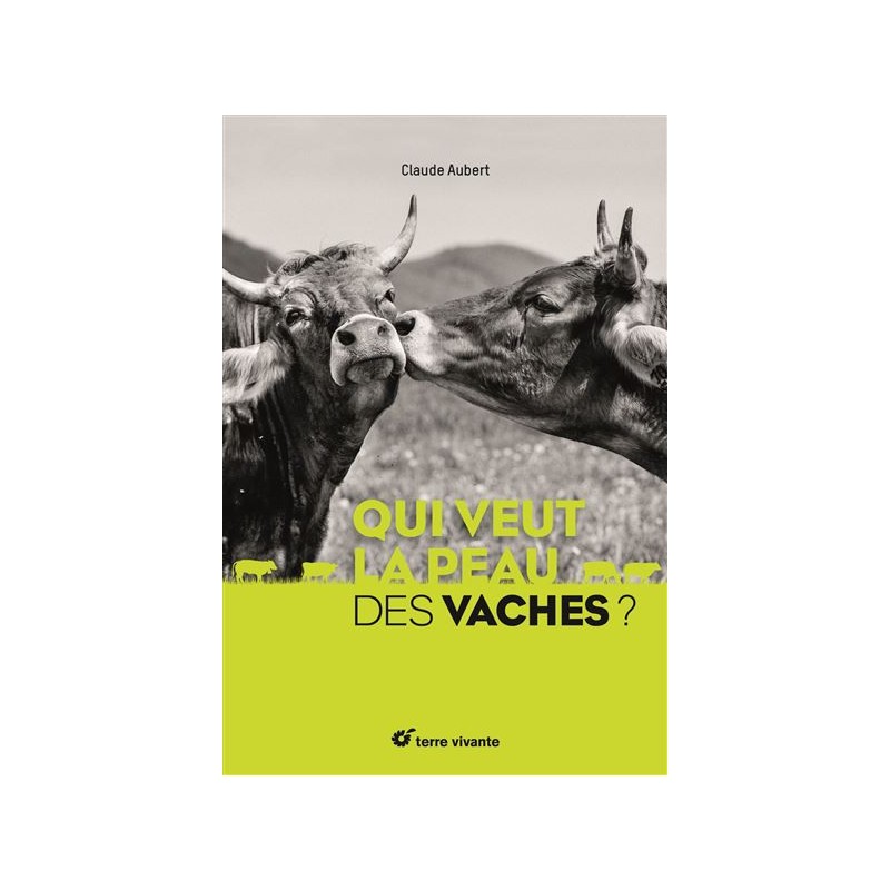 Prendre soin de sa maison (même en plein KO)