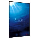 Solutions locales pour un désordre global