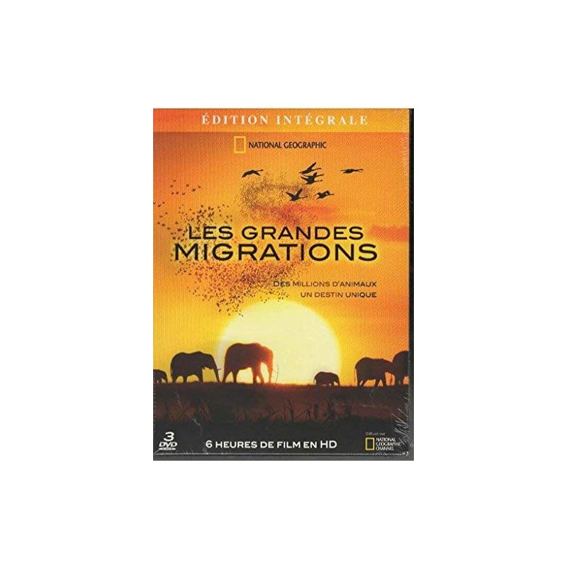 TITRE FICHE VIERGE CRÉATION DVD (occasion)(neuf)