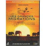 TITRE FICHE VIERGE CRÉATION DVD (occasion)(neuf)