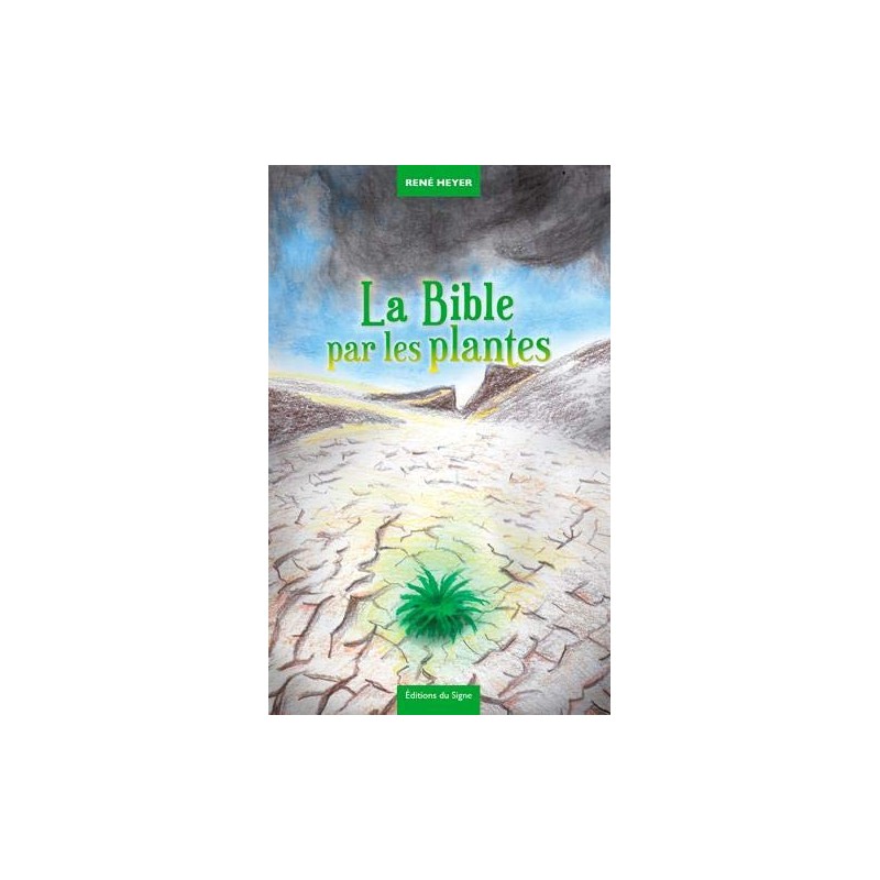 Les indices-pensables Tome 1, Le mystère du soleil froid (neuf)