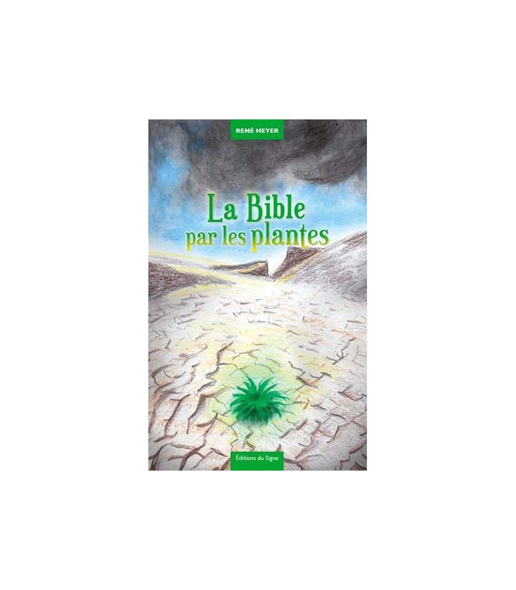 Les indices-pensables Tome 1, Le mystère du soleil froid (neuf)