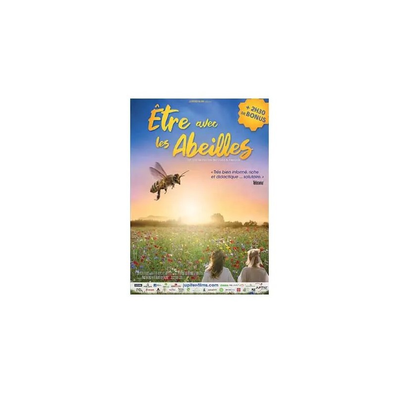 Solutions locales pour un désordre global