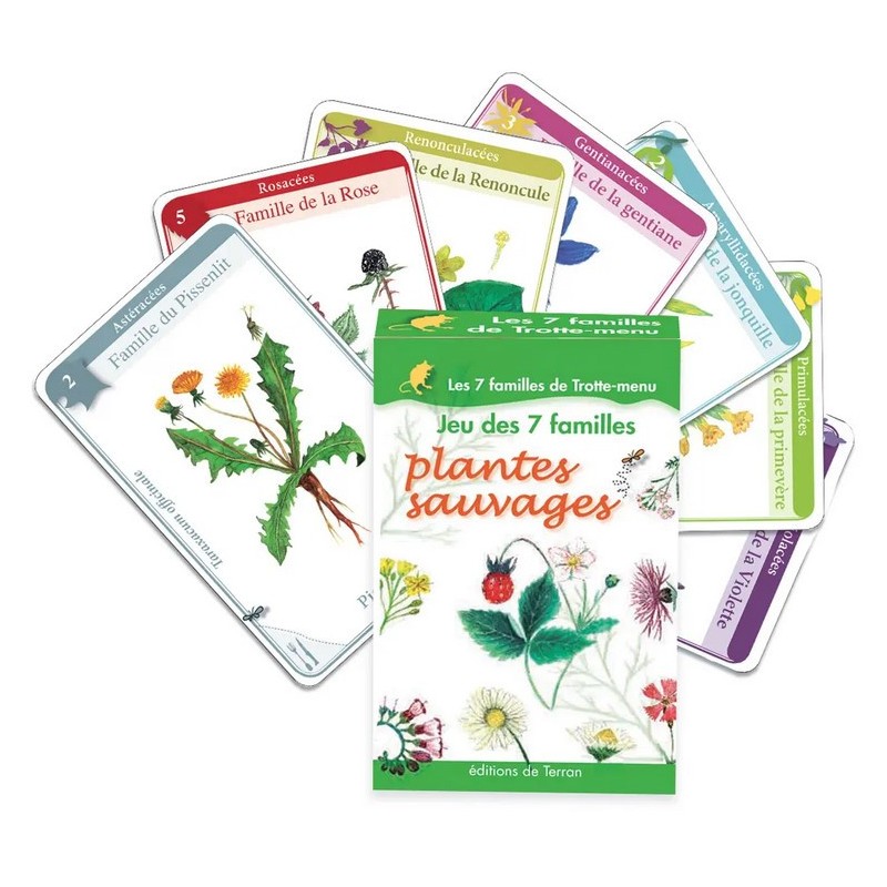 Bataille Nature à la montagne