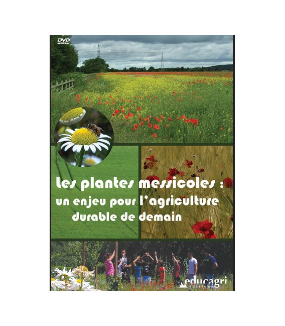 Les plantes messicoles