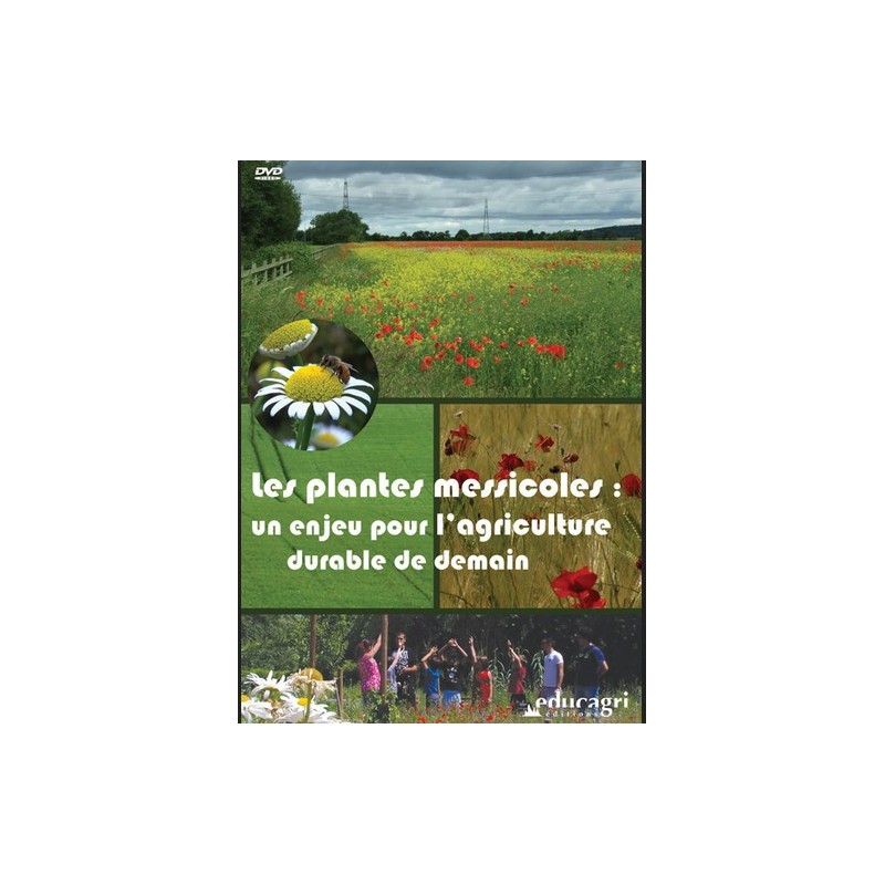 Fumer n'est pas jouer