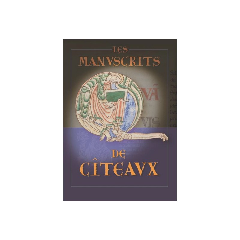 FICHE VIERGE CRÉATION DVD