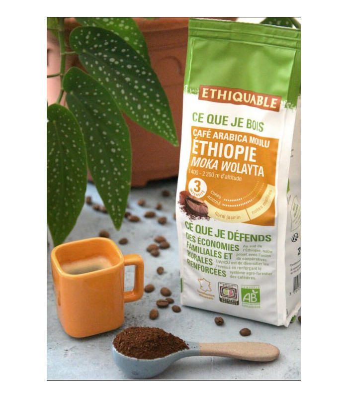 Café Ethiopie Sidamo Pur Arabica Bio Équitable - Destination