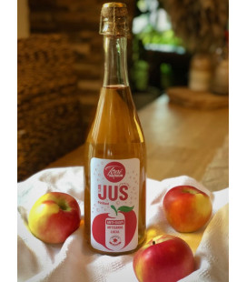 Pur jus de Pomme Poire bio et équitable