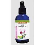 Hélichryse - Eau florale  bio & équitable