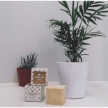 Savon nature à l'huile d'olive
