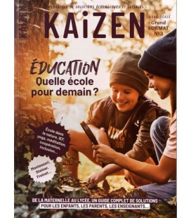 Kaizen - Grand Format - N°3