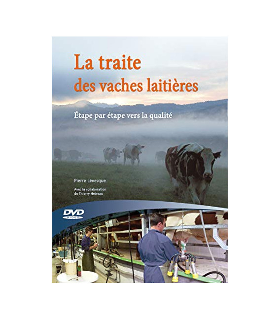 Traite des vaches laitieres