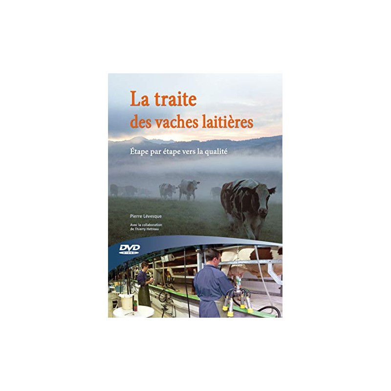 Traite des vaches laitieres