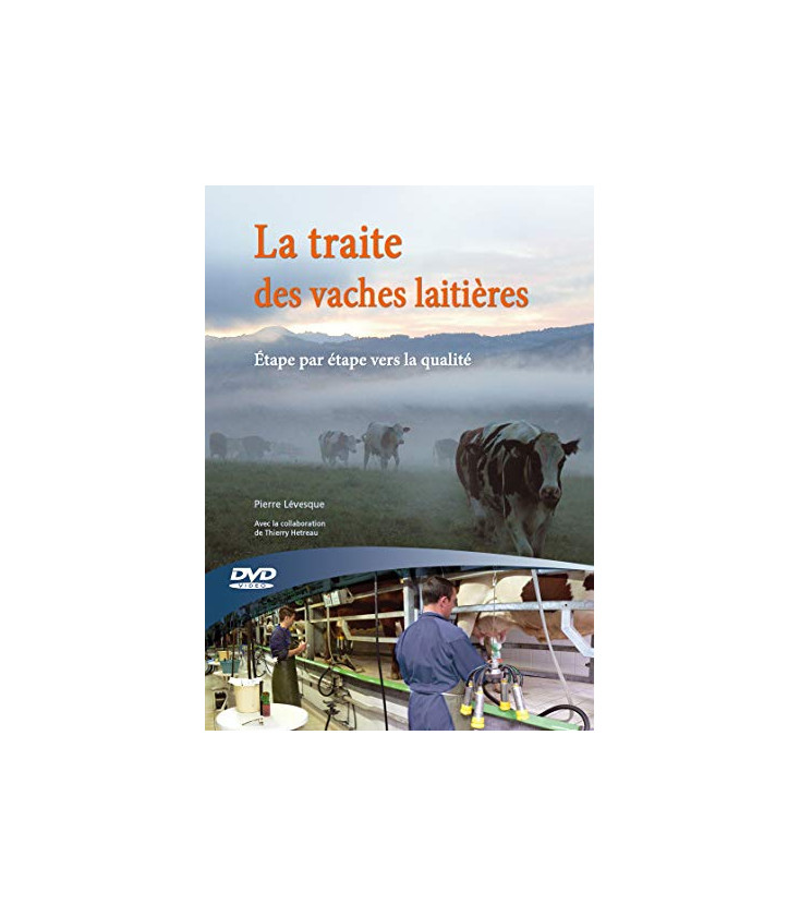 Traite des vaches laitieres