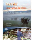 Traite des vaches laitieres