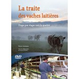Traite des vaches laitieres