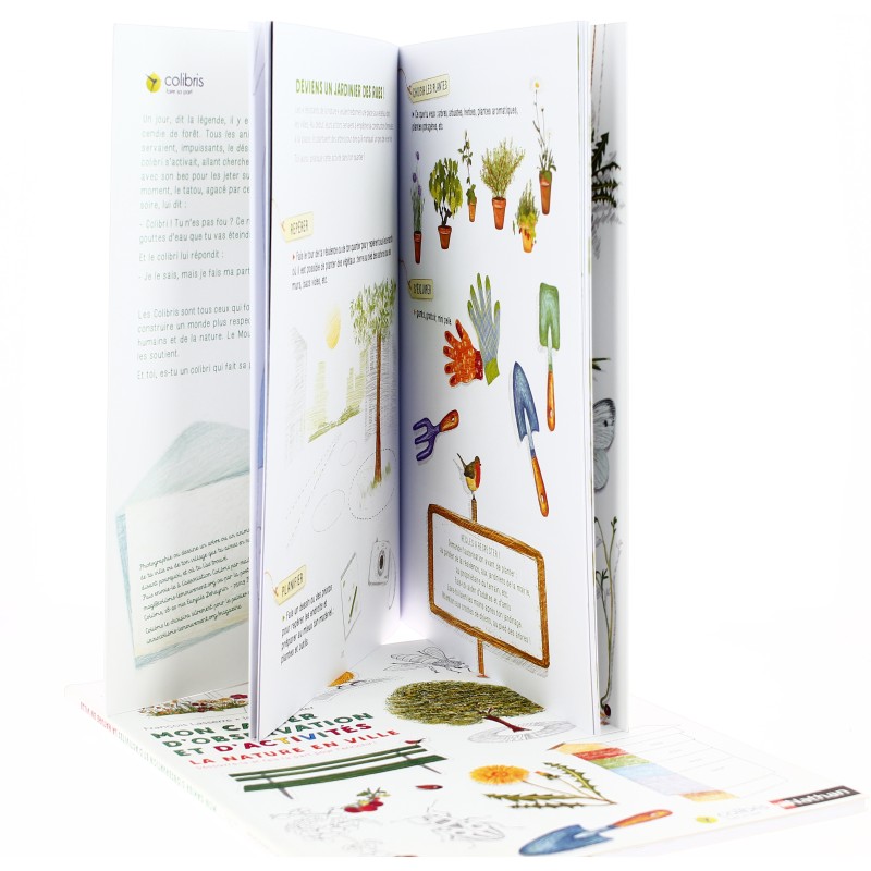 TITRE FICHE VIERGE CRÉATION LIVRE (Occasion)