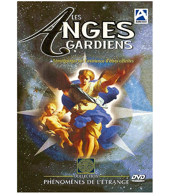 FICHE VIERGE CRÉATION DVD