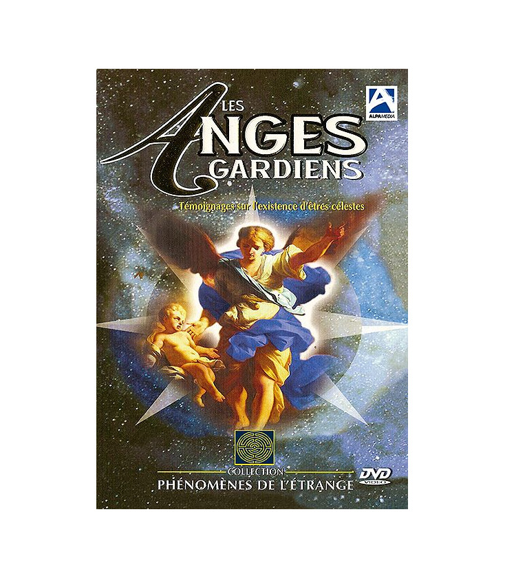 FICHE VIERGE CRÉATION DVD