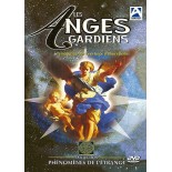 FICHE VIERGE CRÉATION DVD