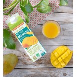 Nectar de Mangue bio & équitable