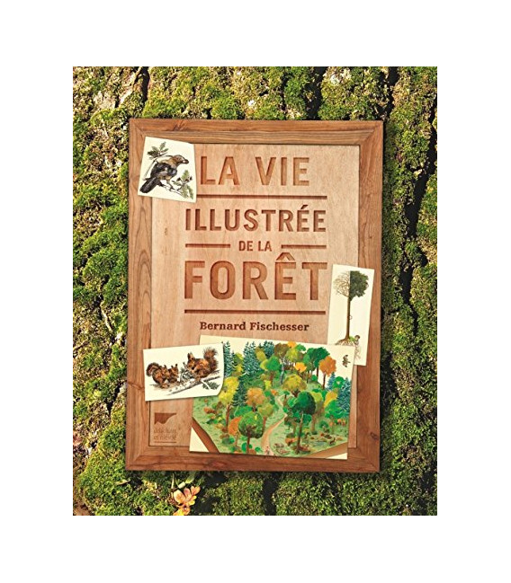 La Vie illustrée de la forêt