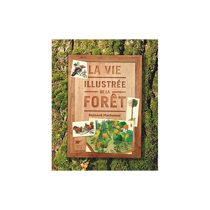 Le Guide Terre vivante de la gemmothérapie