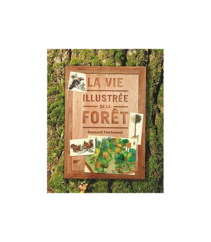 La Vie illustrée de la forêt