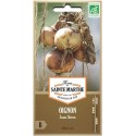 OIGNON Jaune Sturon AB  - Semences reproductibles bio