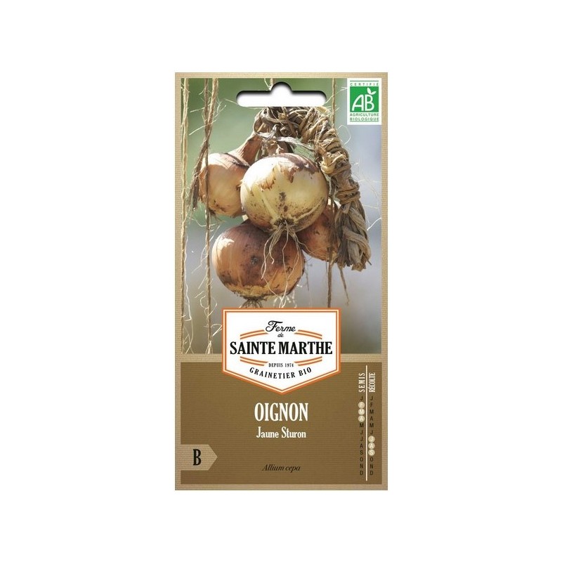 OIGNON Rossa Lunga di Firenze AB  - Semences reproductibles bio