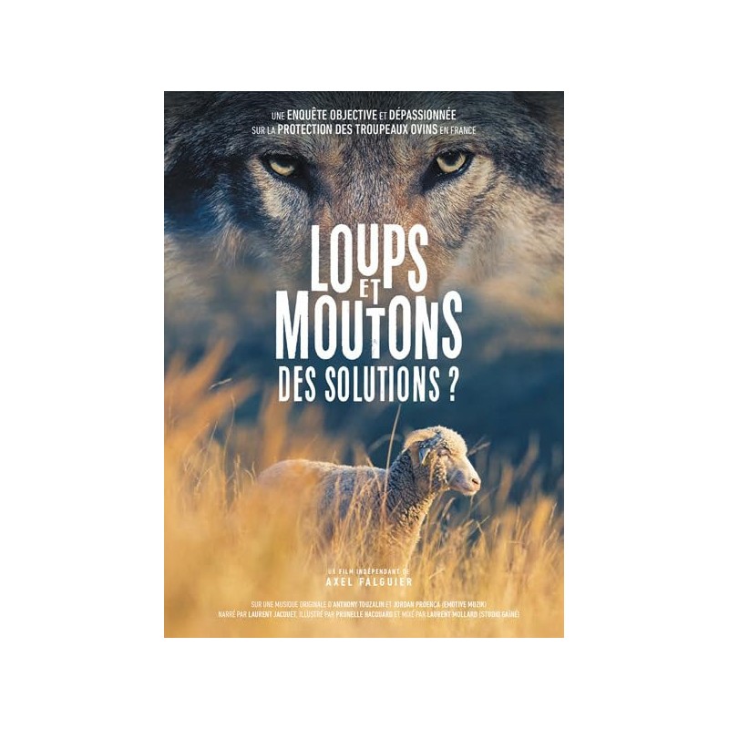 TITRE FICHE VIERGE CRÉATION DVD (occasion)(neuf)