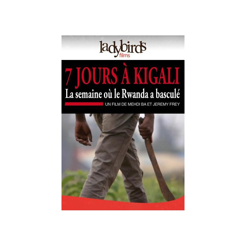 TITRE FICHE VIERGE CRÉATION DVD (occasion)(neuf)